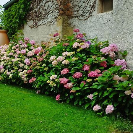 Bed and Breakfast Le Charbonnet Anzy-le-Duc Exteriér fotografie