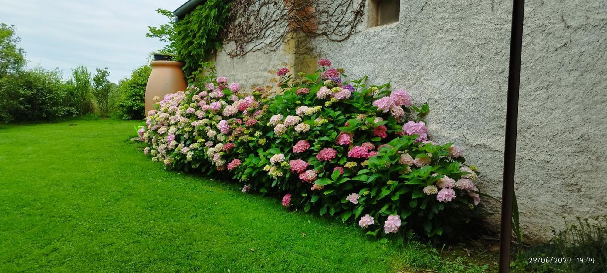 Bed and Breakfast Le Charbonnet Anzy-le-Duc Exteriér fotografie